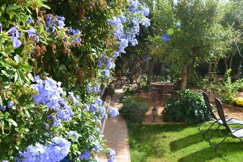 Carmen De Ramilla, Encantadora Guesthouse Con Piscina Soleada Гранада Экстерьер фото